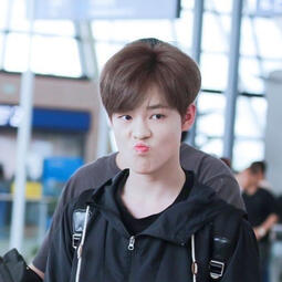 Zhong Chenle